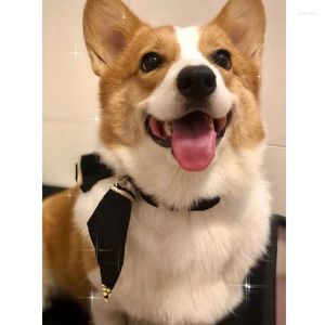 Hundkläder mode husdjur halsduk justerbar slips slips bandana krage halsdukskötsel tillbehör för små medelstora hundar ll03