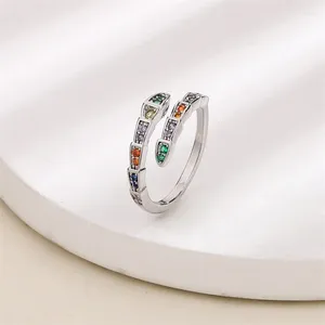 Anéis de cluster luxo colorido zircão forma de cobra anel de dedo para mulheres meninas festa punk hiphop jewlery presentes acessórios e610