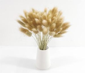 Naturlig pampas kanin svansgräs torkade blommor bevarade bröllopsfest diy hantverk scrapbook bouquet jul påskdekoration215j6549847