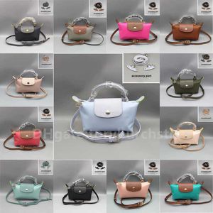 Tasche Hohe Qualität Großhandel Ausverkauf Brieftasche Taschen Hand Kapazität Europäischen und Amerikanischen Stil Longyu Dumpling 2024 Nylon Griff Mini Luxurys Handtaschen Fracht Quelle