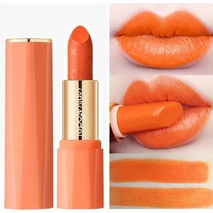 Lipstick Orange Lipstick Waterproof Long Lasting Matte Lipsticks Resistant Lip Stick Velvet Lipstic Women Cosmetic Sexy Cute Makeup 231208