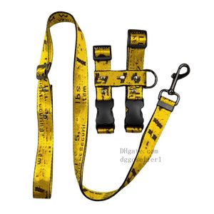 Designer Cat Harness and Leash Set, Cats Escape Proof - Justerbar kattunge för stora små katter Medium hund, lätt mjuk promenad resor petsafe sele s b211