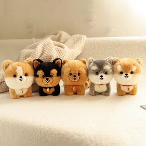 Bambole di peluche Simpatico cane famoso serie bambola di peluche piccolo ornamento ragazze che dormono coccole cuscino regalo di compleanno Corgi Pomerania Husky Yorkshire 231208