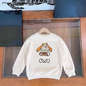 Luxury designer kids sweater Colorful puppy pattern print baby hoodie Size 100-160 round neck boys girls pullover Dec05