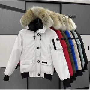 Men Pilot Down Jacket Real Wolf Fur Hooded Canvas Parkas Letter Patch Zipper Pockets Warm Thick Outwear Desig Wholesale 2 Pieces 10% Dicount G