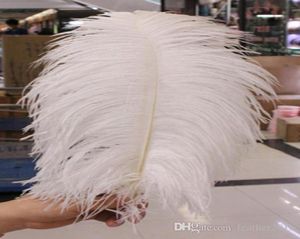 Party Decoration Whole 10 Pcs High Quality Beautiful Ostrich Feather 4045cm1618 Inches U Pick Color Wedding Centerpiece Dec5725957