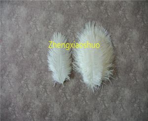 Prefect Natural Ostrich Feather White 58 tums bröllop centerpieces bröllopsdekoration party supply dekor8186337