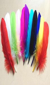 100pcs 15 cm Goose Feather Tails Feathers Fan do rzemieślniczej odzieży szycia przyjęcie weselne Dekoracja 3880099