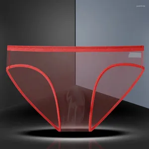 Underpants 2Pcs Pack Low-Waist Ultra-Thin Transparent Briefs Men Underwear Perspective Mesh Panties Plus Size XL-XXXL