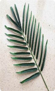 12st 52 cm konstgjorda sidenplantor Simulering spridda grönt bladpalmträd blad för blommor arrangemang hem dekoration6538164