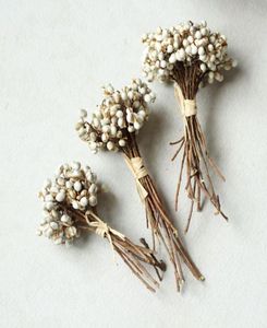 Denispen Natural Dried Flowers White Snow Beans Branch Bouquet Mini Berries For Home Decoration Decorative Flowers Wreaths2833905