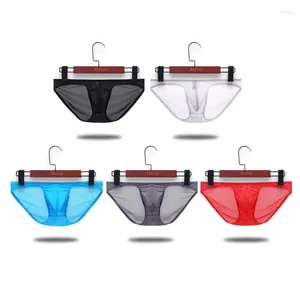 Cuecas homens briefs malha náilon super fino macio masculino calcinha gay engraçado bulge pênis bolsa bikini ver através jockstraps lingerie roupa interior