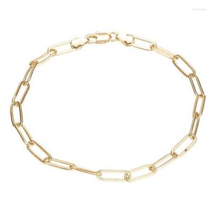 Anklets Gold Color Paperclip Oval Link Chain Flat Anklet 9 10 11 Inches Ankle Bracelet For Women Men Waterproof Marc22 Drop Delivery J Dho39