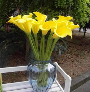 Lateks callas gerçek dokunmatik calla zambakları çiçek 12pcslot büyük boy doğal duygu pu çiçekler düğün buketleri için büyük calla zambak7981345