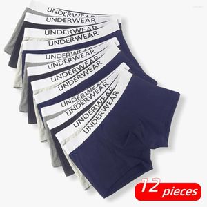 Underpants 12 Pcs Men Boxer Shorts Cotton Briefs Male Underwear Solid Man Breathable U Convex BoxerShorts Plus Size