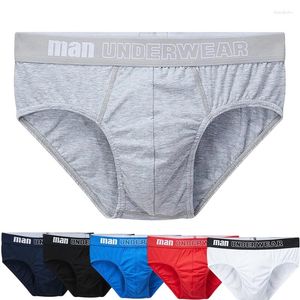 Underpants Men's Panties Sexy Men Underwear Mens Briefs Jockstrap Pant Comfortable Slip Breathable Cotton Gay S-XL