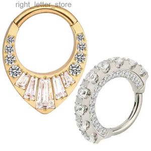 Stud G23 Titanium EAR PIERC Fan-shaped and side zircon Ring Hoop Nose Rings Hinged Clicker Labret Tragus Cartilage Ring Body Piercing YQ231211