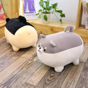 Plush Dolls Arrive 4050cm Cute Shiba Inu Dog Toy Stuffed Soft Animal Corgi Chai Pillow Christmas Gift For Kids 231211