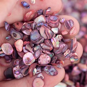 Nail Art Decorations 50ML/Jar Natural Sea Shell Slice Abalone Shell Fragments Texture 3D Charm Nail Art Decoration Rhinestones For Woman DIY 231211