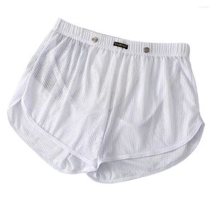Cuecas homens transparentes malha lounge boxer shorts sexy lingerie briefs cintura média roupa interior escolha de cores s xl tamanhos