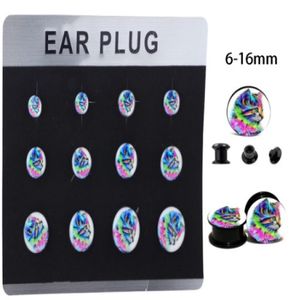 Mix 6 Sizes 5 Cards Internal Thread Ear Expander Plugs Kit Screw Flesh Tunnel Gauge Earring Stretchering Body Piercing7145405