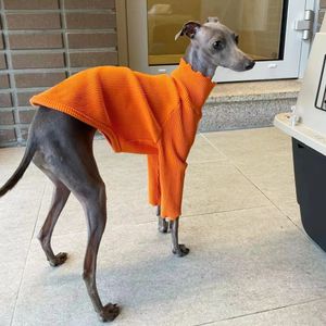 Köpek giyim İtalyan Greyhound ve Whippet Giysileri Iggy Sweater Portakal Dantel Bodysuit Yüksek boyun streç uzun kollu kıyafetler 231211