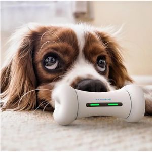 Dog Toys Tuggar Ly Dog Toy Interactive Emotions WickedBone Smart Pet Bone App Control Pet Silicone Wheels 231212