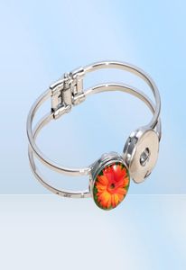 12pcslot hästtema glas charms 18mm snap -knapp smycken för 18 mm snaps armband snap smycken kz0677155857639934143