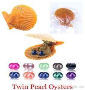 Cała 2020 Nowa czerwona skorupa 27 Kolory okrągłe Akoya 67 mm bliźniaczki perły Ostrydowe dekoracje biżuterii