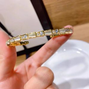 Classic fashion Bracelets Bangle snake shell letter Titanium steel open Bracelet designer for women men luxury jewlery gifts woman girl gold silver wholesale