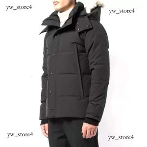 Canda Goose Зимняя куртка на пуху Canda Goose Parka Homme Jassen Chaquetas Верхняя одежда Гусиная куртка с капюшоном из волчьего меха 5323