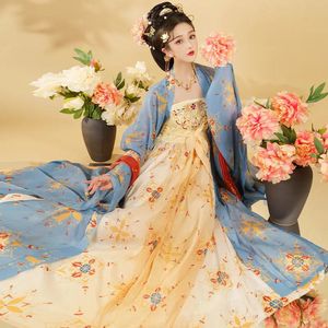 Ethnic Clothing Original Hanfu Women Made in Tang Dynasty Hezi Skirt Large Sleeve Shirt Style Embroidery Ancient S 231212