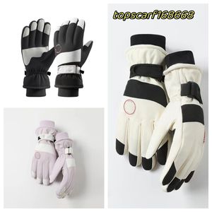 Designer gloves Outdoor warm touch screen gloves, men's and women's winter thickening and fleece windproof, waterproof, skidproof and cold driving gloves