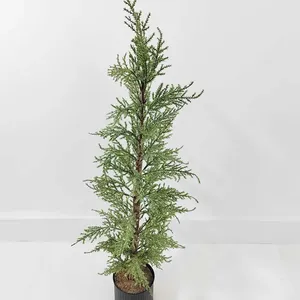 Christmas Decorations 80cm Mini Trees Household Tabletop