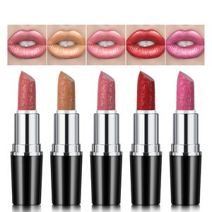 Fioletowe szminki Matte Matte Lipsticks Wodoodporny długotrwałe usta narzędzia do makijażu hurtowo luzem