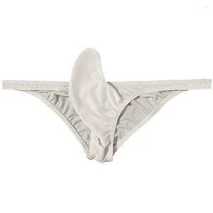 Underpants Mens Sexy Backless Low Rise Briefs G-String Thong Soft Underwear Pouch Panties Elephant Nose Erotic Lingerie