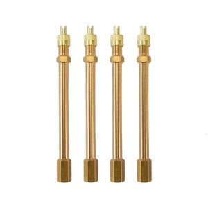 New Tire Valve Stem Brass Metal Tire Valve Extension Straight Bore for Truck Motorcycle Car 100mm