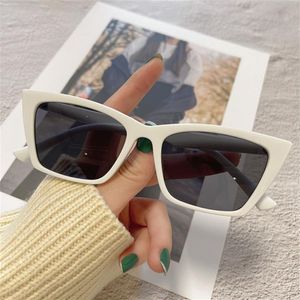 Trendige Cat Eye Sonnenbrille mit kleinem Rahmen, Herrenbrille, Damenpersönlichkeit, Retro-Brille 006281R
