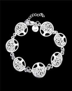 Women039S Sterling Silver Plated Tree of Life Charm Armband GSSB607 Fashion 925 Silver Plate SMEEXKE ALBELETS5671437
