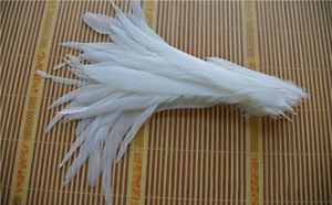 Whole 100pcslot 1214inch pure White Coque rooster hackle tail Feather for Crafts decor4752544