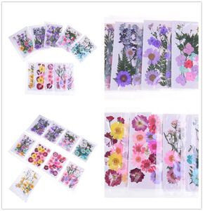 Várias belas flores reais prensadas flores secas para arte artesanato scrapbooking resina jóias artesanato fazendo capa de telefone8940982