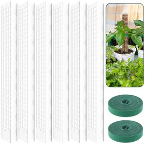 Altri attrezzi da giardino 6 pezzi Palo per muschio 60 cm Bastoncino per piante in plastica riutilizzabile Supporto trasparente Resistente agli agenti atmosferici per piante rampicanti 231212