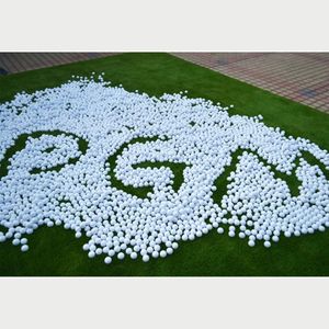 Golf Balls 10pcs PGM Double Layer Golf Balls Golf Swing Putting Practice Ball White Standard Blank Golf Ball Q002-4 231213