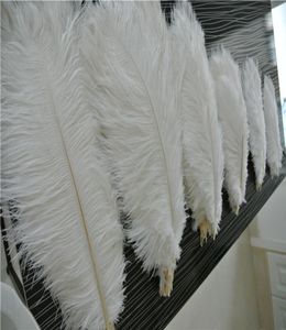 Całe 50pcs białe strusi pióra pióropusze do ślubnego centrum Weddna impreza wystrój imprezy wystrój 2841022