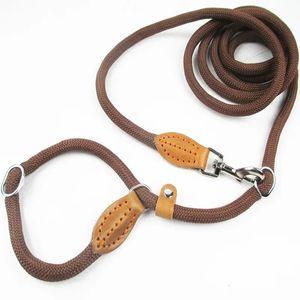 Dog Training Obedience Multifunctional Leash P Chain Slip Collar pet Walking Leads Nylon Rope puppy Traction For small Medium Large Dogs 231212