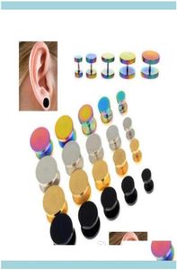 Tunnels Body Jewelry Jewelrygold Black Stainless Steel Cheater Faux Fake Ear Plugs Flesh Tunnel Gauges Tapers Stretcher Earring 64346144