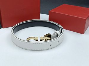 Cintura di design di lusso per donna Vera pelle di vacchetta Larghezza 3 cm Cinture di design da uomo Fibbia in bronzo Cintura da donna in argento Cintura 2,8 cm