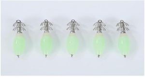 Ami da pesca 5 pezzi Glow Squid Jigs Corpo duro Ganci luminosi Esche artificiali Accessori per la pesca Forniture Esche jllIlQ2420109