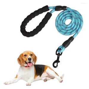 Hundhalsar 1 PC Pet Traction Rope Reflective Nylon Chain Anti Collision Små och medelstora tyglar