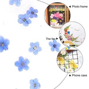 Flores decorativas 20 peças azul esqueça de mim não para diy arte artesanato cabeça resina epóxi jóias flor de unha seca real prensado st q0j6